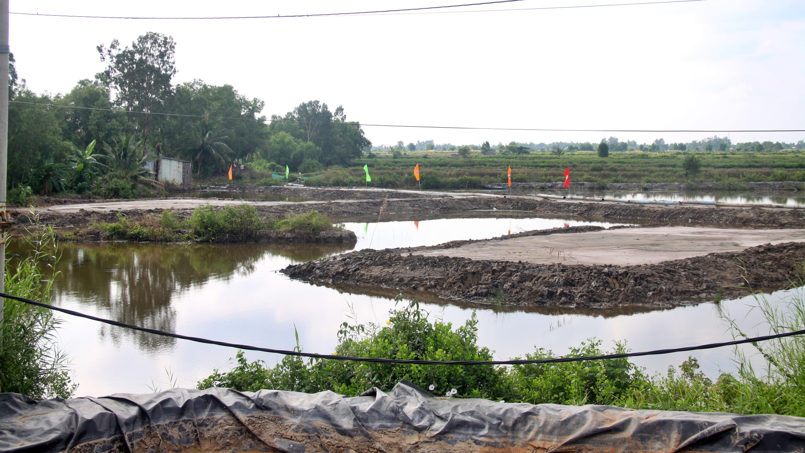 Hối hả thi c&ocirc;ng cao tốc C&agrave; Mau - Đất Mũi xuy&ecirc;n Tết- Ảnh 10.