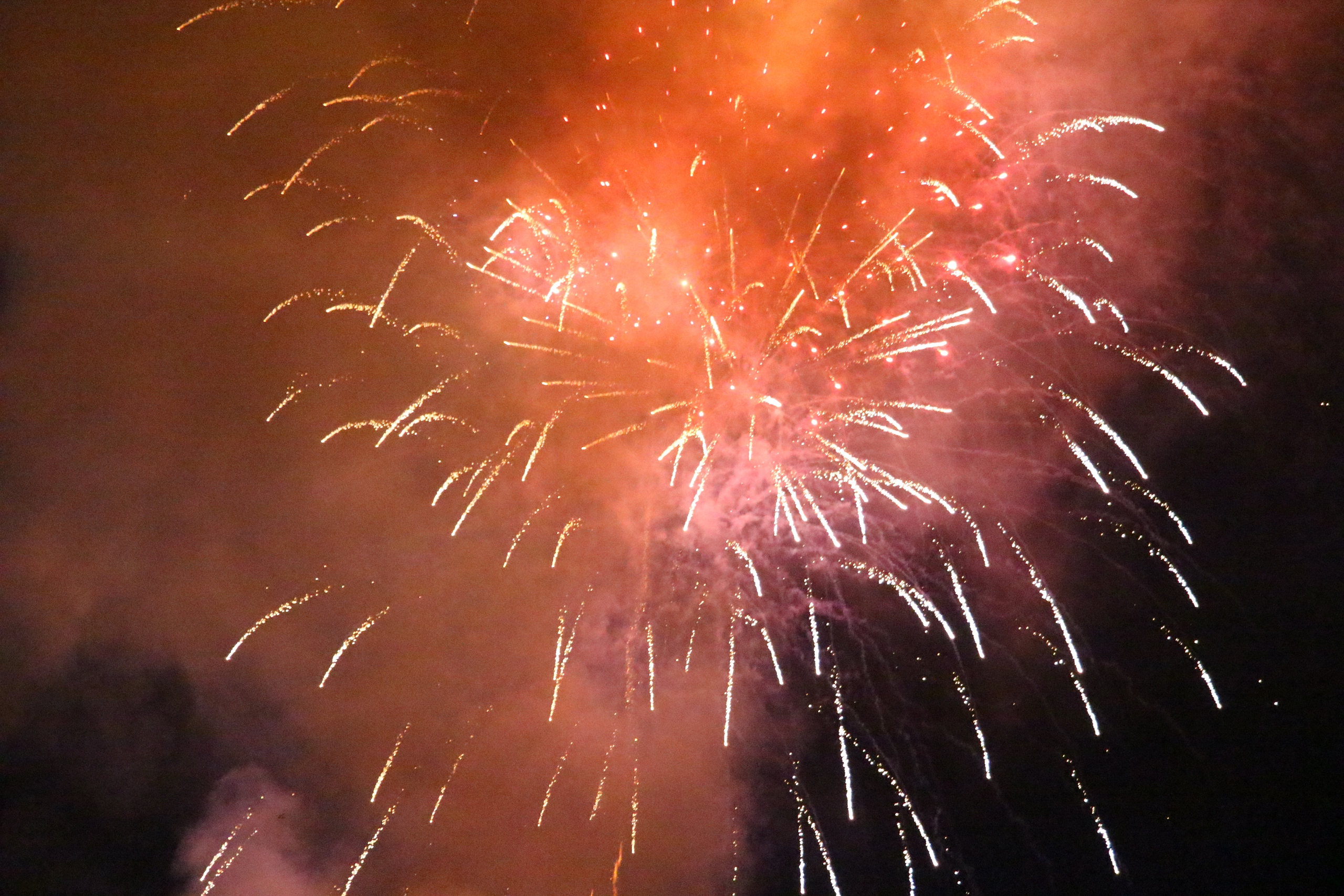 Đồng Nai: Ph&aacute;o hoa rực s&aacute;ng với h&agrave;ng chục ng&agrave;n người h&ograve;a nhịp countdown đ&oacute;n năm mới 2026- Ảnh 13.