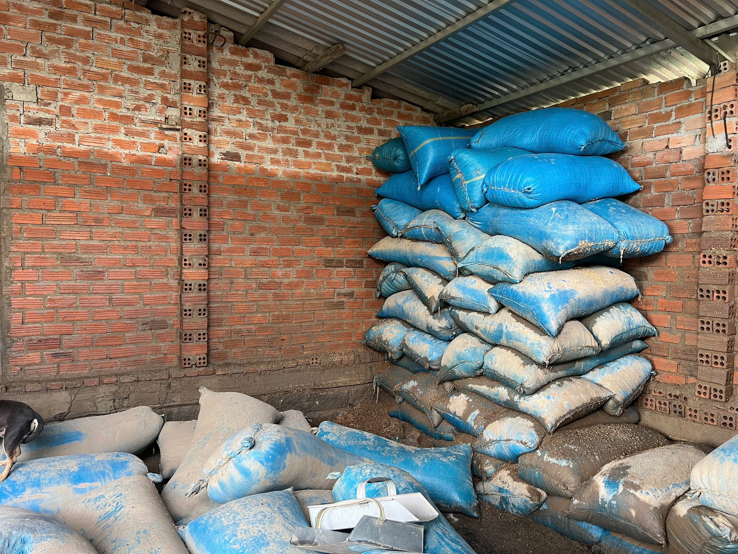 Bài 1: Phục hồi và phát triển nông nghiệp bền vững- Ảnh 2. Bài 1: Phục hồi và phát triển nông nghiệp bền vững- Ảnh 2.