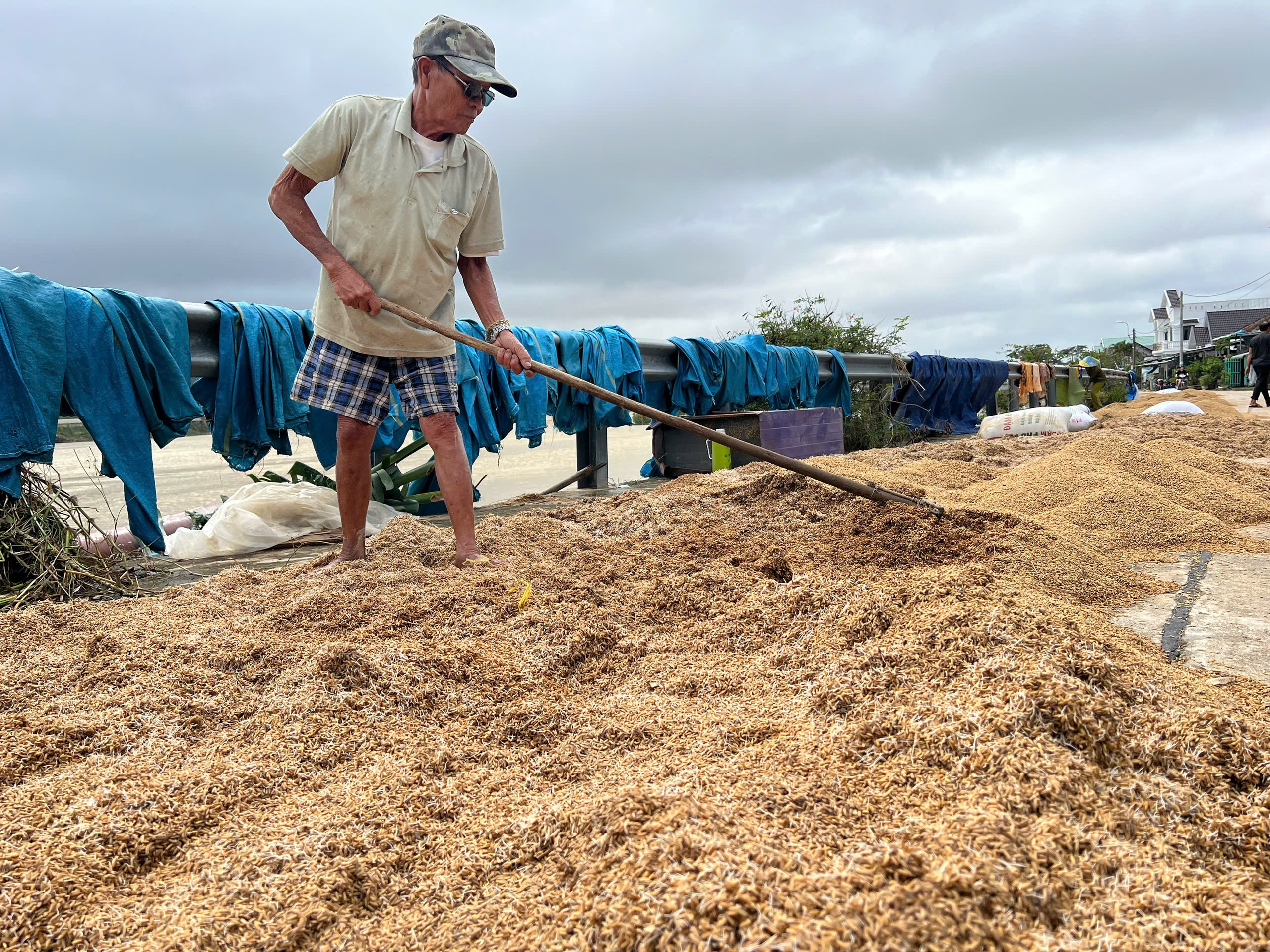 Bài cuối: Bảo hiểm nông nghiệp bị bỏ rơi?- Ảnh 2. Bài cuối: Bảo hiểm nông nghiệp bị bỏ rơi?- Ảnh 2.