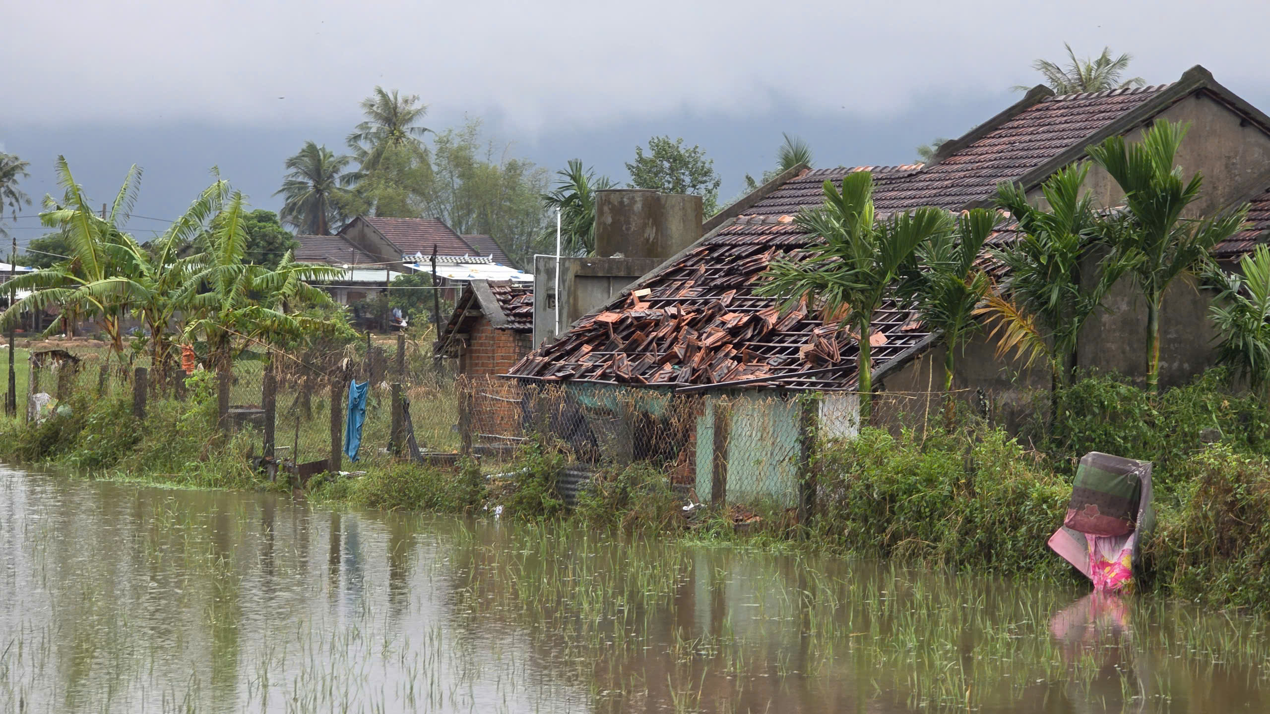 Bài 1: Phục hồi và phát triển nông nghiệp bền vững- Ảnh 3. Bài 1: Phục hồi và phát triển nông nghiệp bền vững- Ảnh 3.