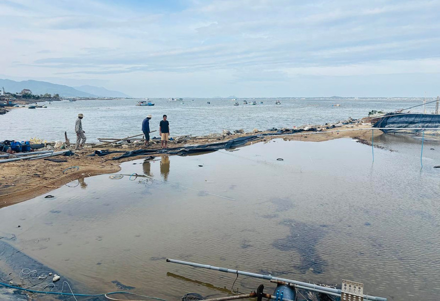 Bài 1: Phục hồi và phát triển nông nghiệp bền vững- Ảnh 1. Bài 1: Phục hồi và phát triển nông nghiệp bền vững- Ảnh 1.