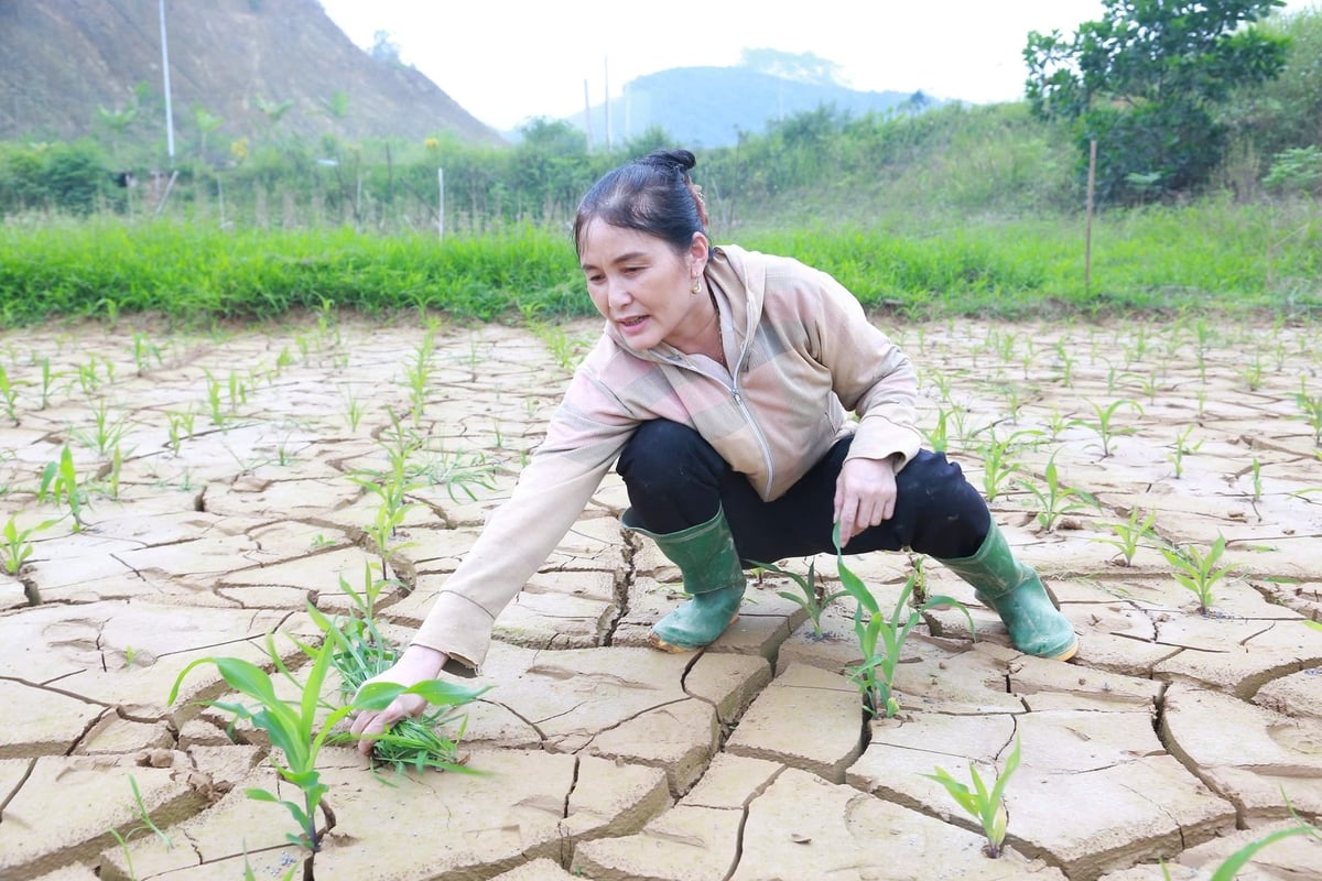 Bài 2: Hỗ trợ phục hồi sản xuất, không để "trên nóng, dưới lạnh"- Ảnh 1.