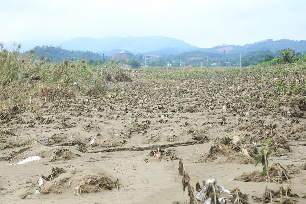 Bài 2: Hỗ trợ phục hồi sản xuất, không để "trên nóng, dưới lạnh"- Ảnh 3.