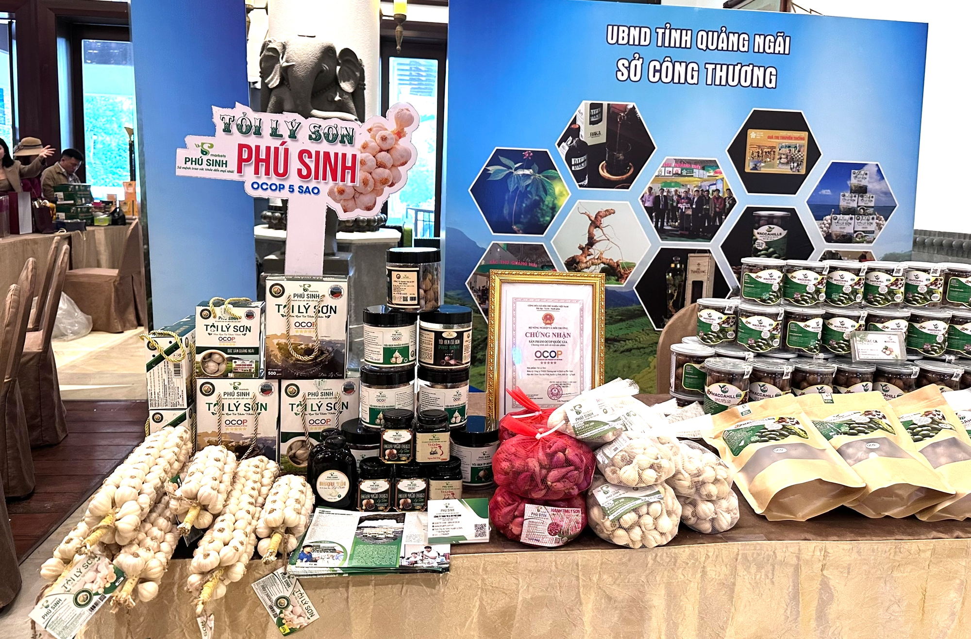 Đà Nẵng phát huy vai trò kết nối vùng, thương mại và logistics- Ảnh 2.