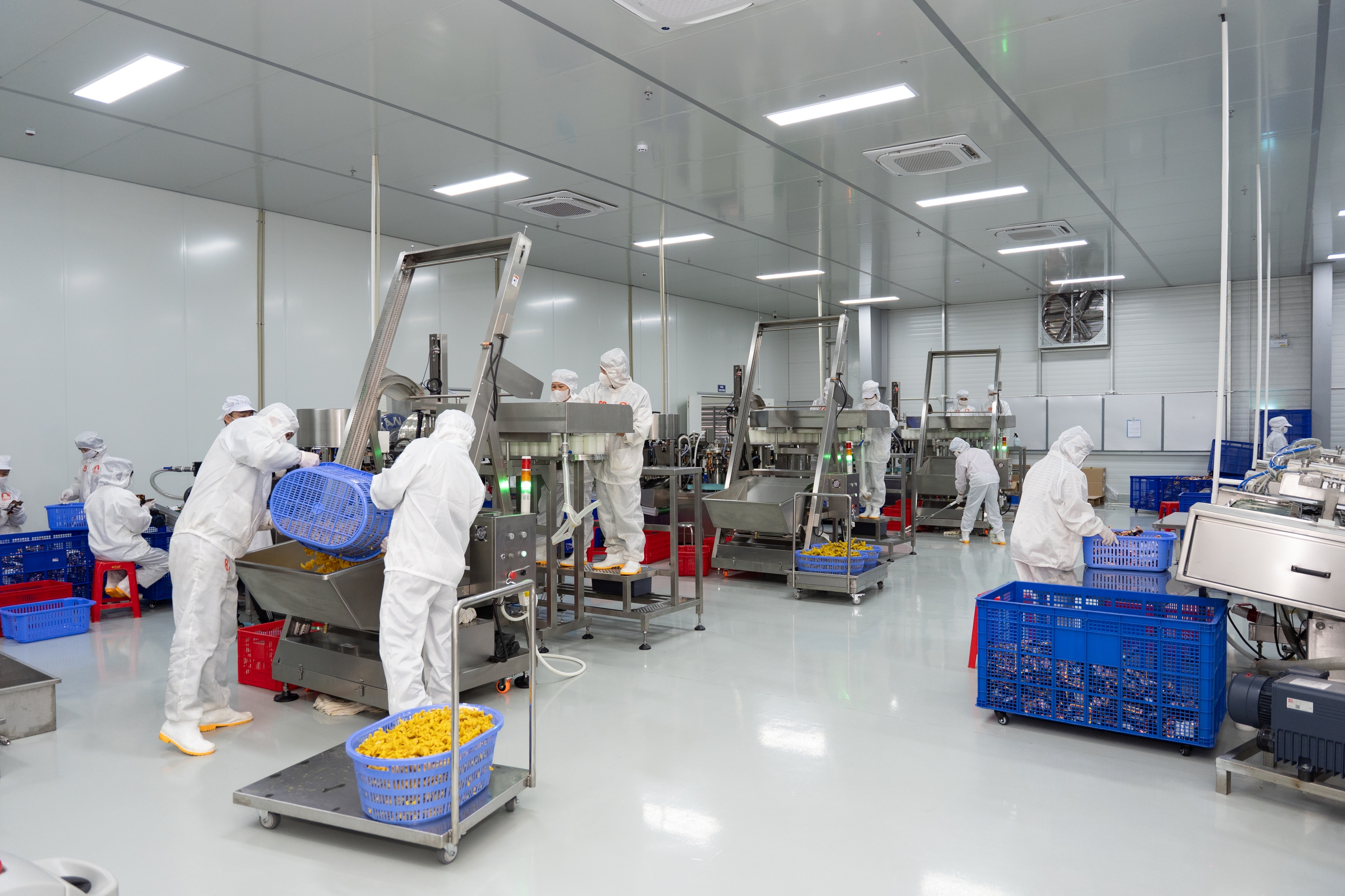 Cận cảnh cơ sở sản xuất hiện đại "Ch&acirc;n g&agrave; B&agrave; Tuyết"- Ảnh 14.