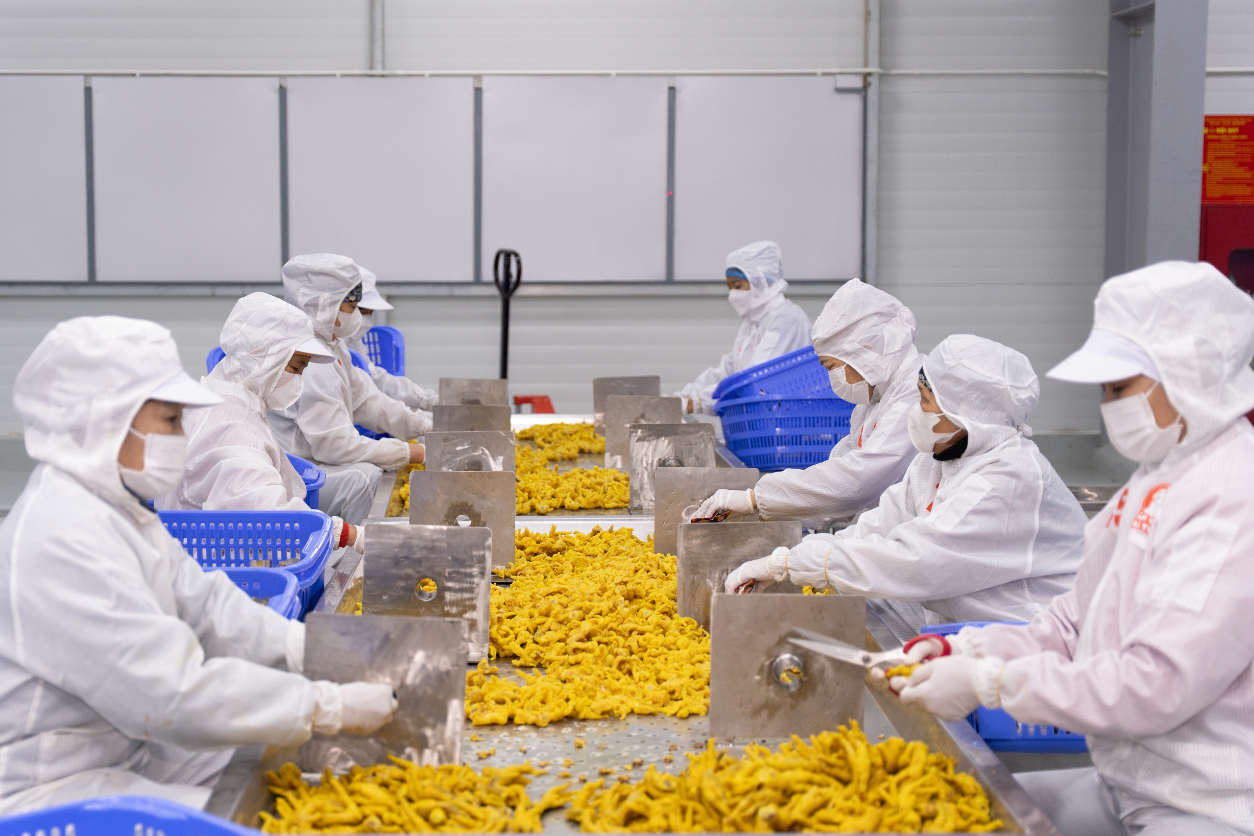 Cận cảnh cơ sở sản xuất hiện đại "Ch&acirc;n g&agrave; B&agrave; Tuyết"- Ảnh 13.