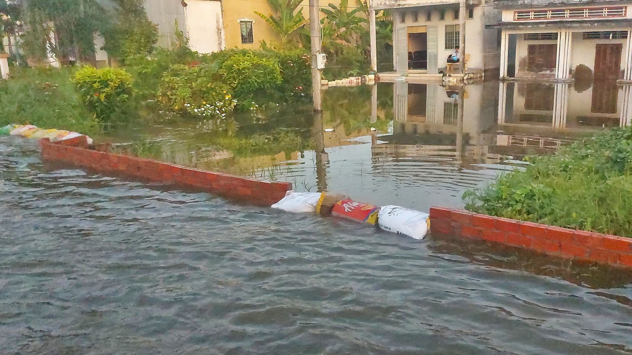 Triều cường dâng cao, tuyến quốc lộ 1 qua Cà Mau ngập sâu- Ảnh 3. Triều cường dâng cao, tuyến quốc lộ 1 qua Cà Mau ngập sâu- Ảnh 3.
