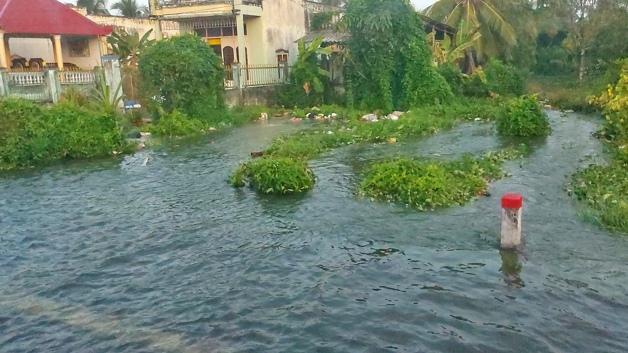 Triều cường dâng cao, tuyến quốc lộ 1 qua Cà Mau ngập sâu- Ảnh 8. Triều cường dâng cao, tuyến quốc lộ 1 qua Cà Mau ngập sâu- Ảnh 8.