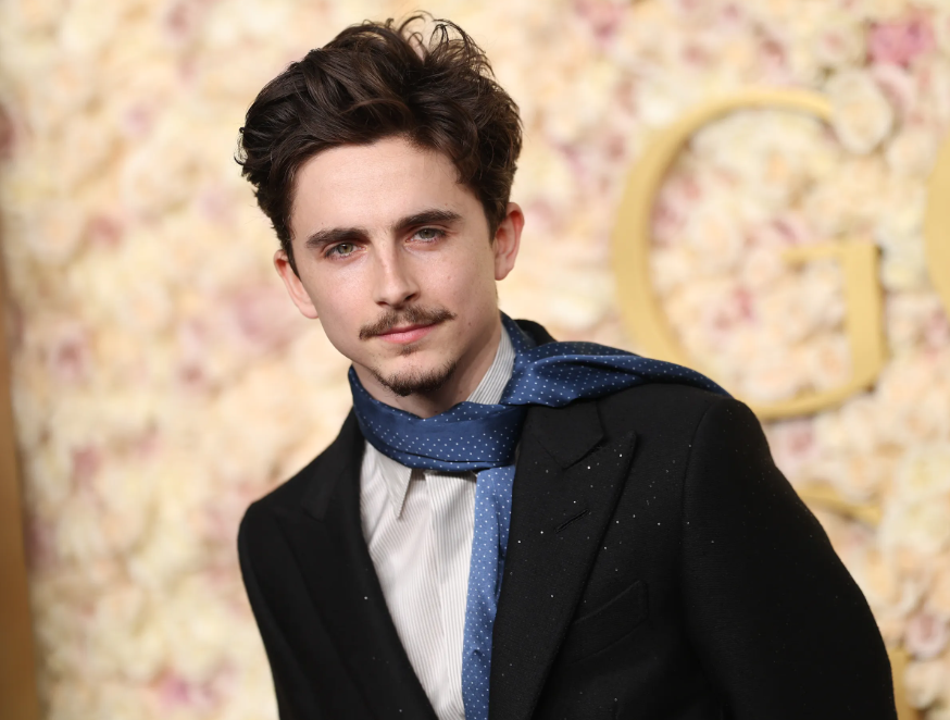 Timothée Chalamet: "Tôi muốn trở thành một người vĩ đại"- Ảnh 6.