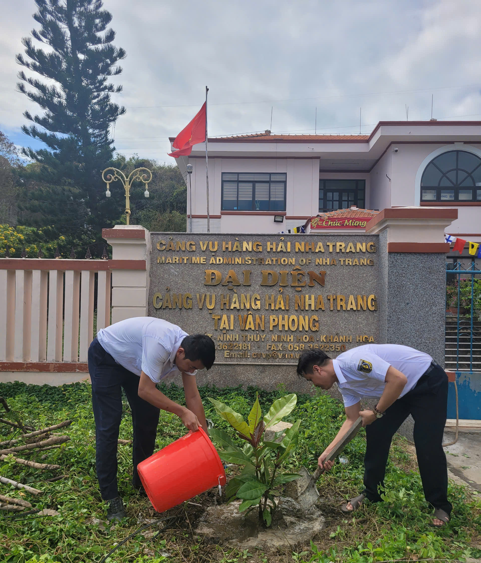 Trồng bàng vuông để thêm yêu biển đảo quê hương- Ảnh 2.