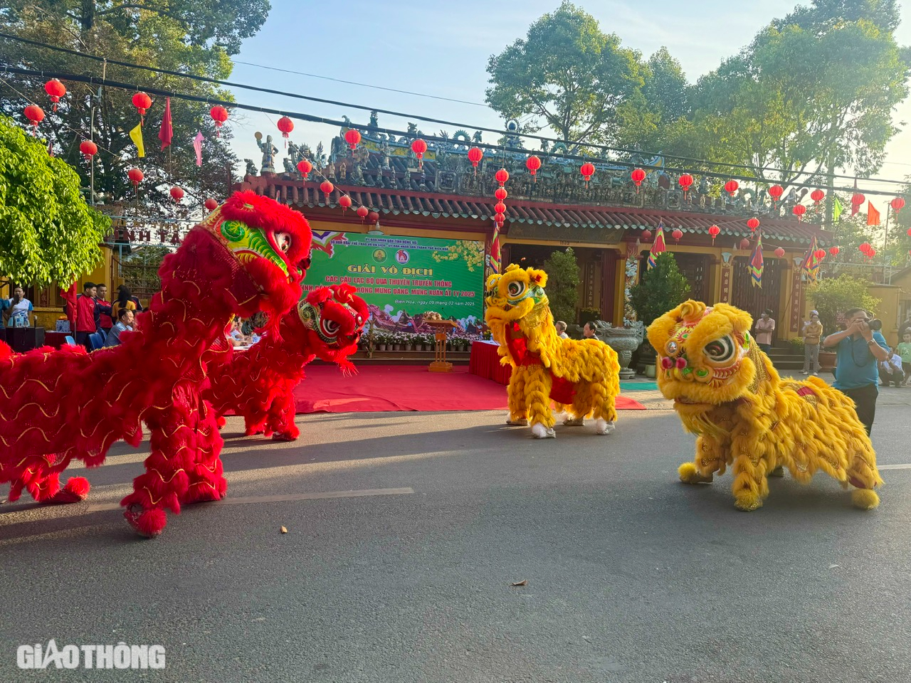 Người dân mãn nhãn với giải đua thuyền và màn nhào lộn trên sông Đồng Nai- Ảnh 13.