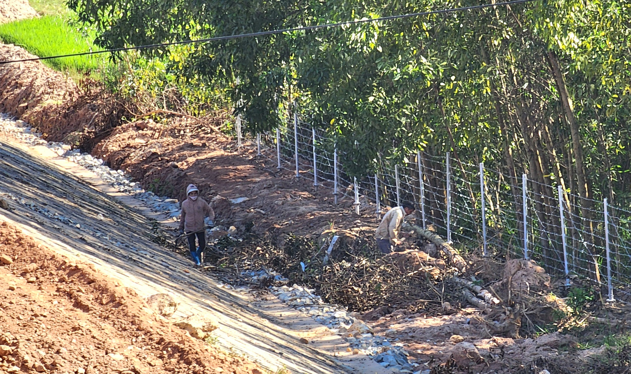 Tăng cường thi công rào chắn dọc cao tốc Quảng Ngãi - Hoài Nhơn- Ảnh 10.