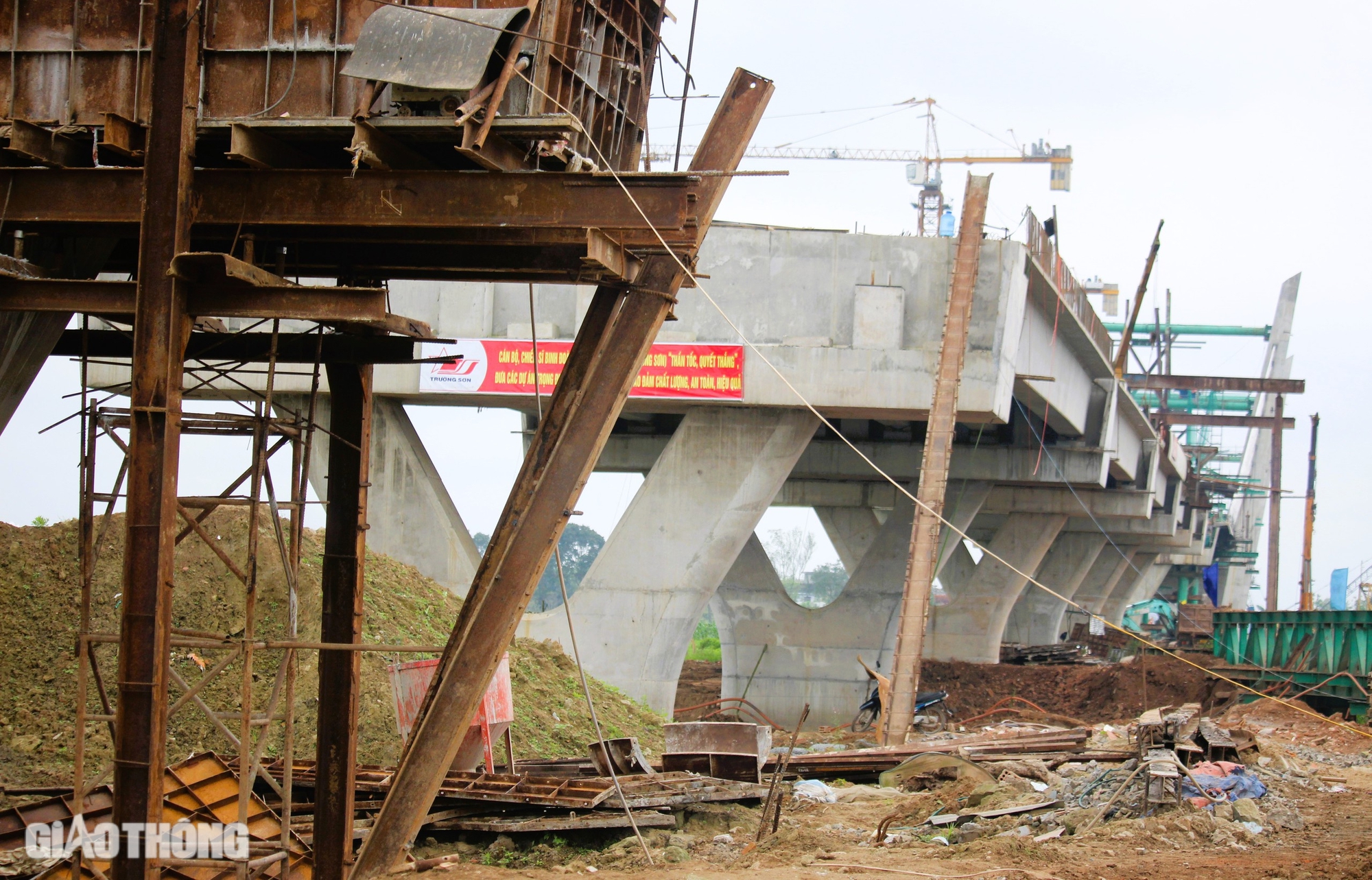 Chuyển mục đích sử dụng 9,2ha rừng để làm đường kết nối Cảng hàng không Quảng Trị với QL1- Ảnh 4.