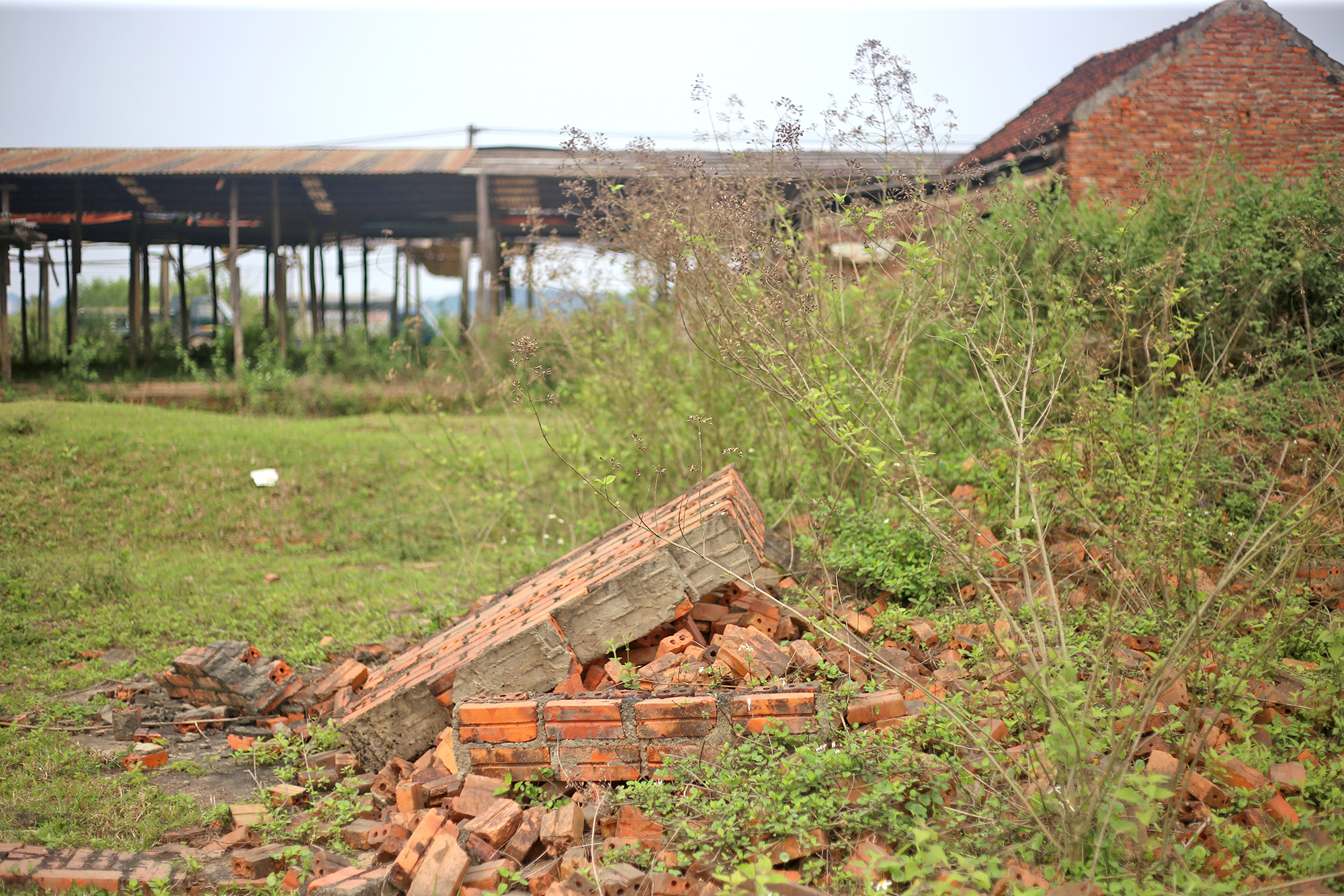 Vì sao làng ngói lớn nhất miền Trung "biến mất"?- Ảnh 3. Vì sao làng ngói lớn nhất miền Trung "biến mất"?- Ảnh 3.