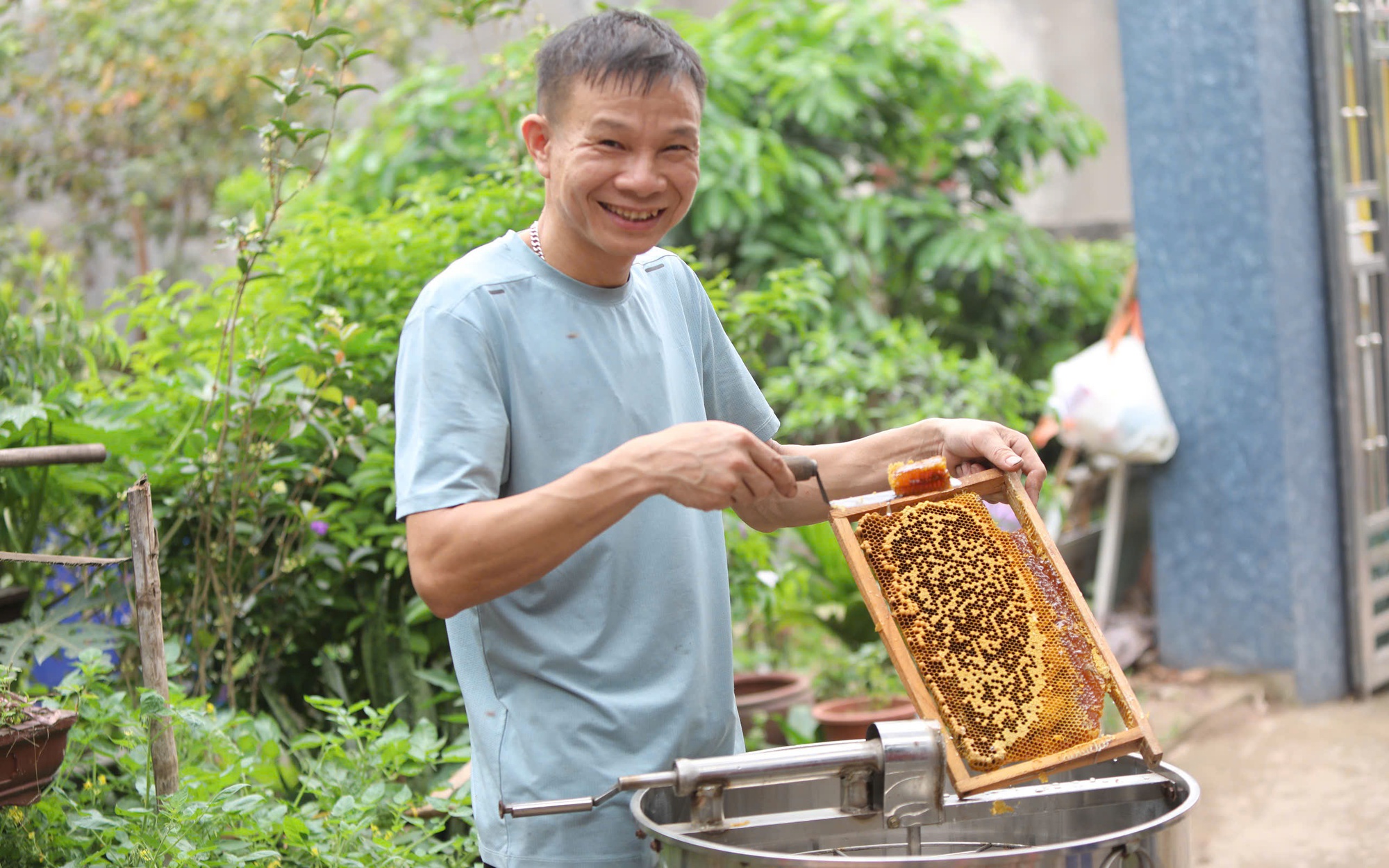Cận cảnh mùa mật ngọt dưới tán vải thiều ở Bắc Giang