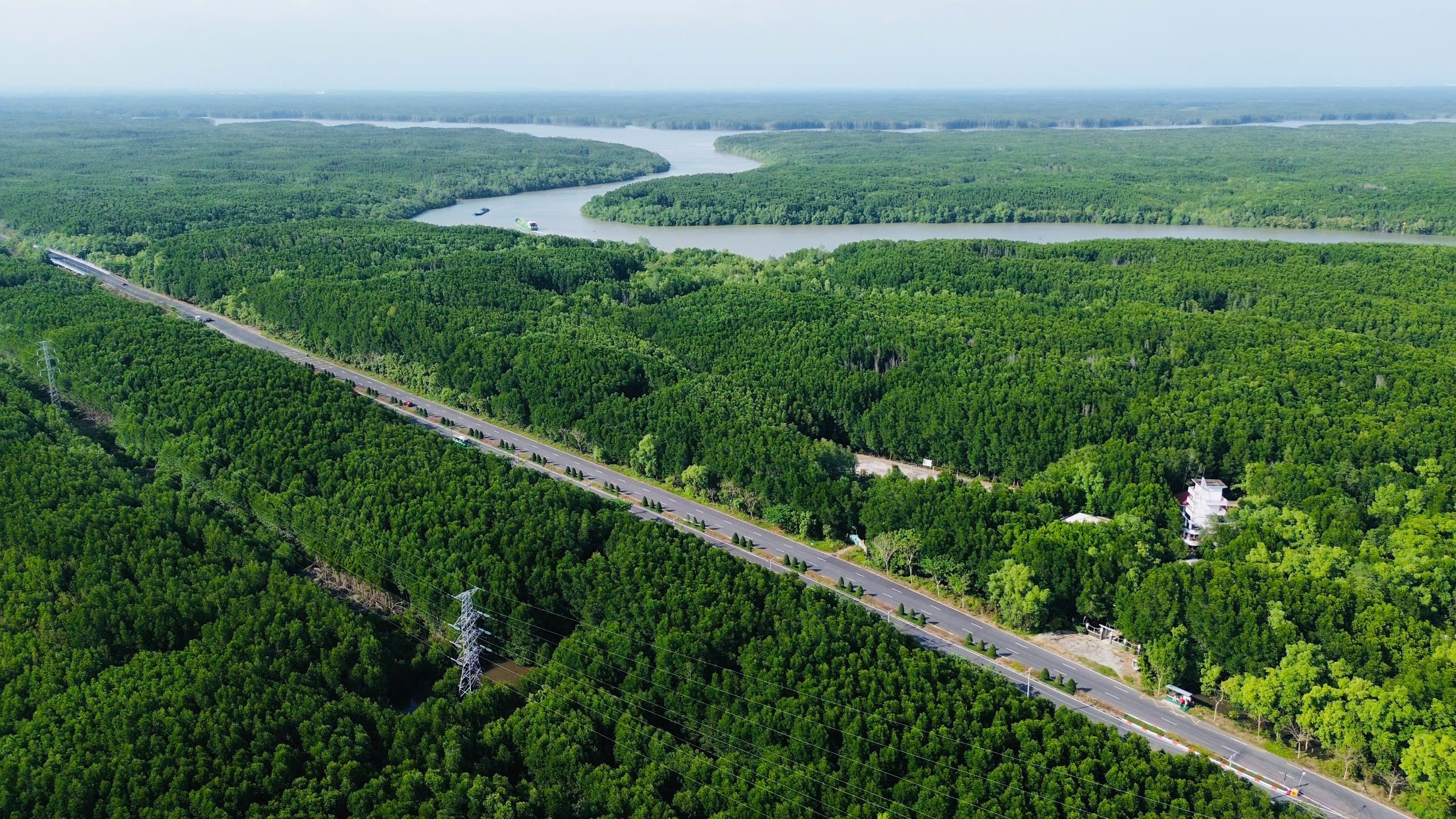 Metro Bến Thành - Cần Giờ: Kỳ tích 2 tháng hoàn tất thủ tục, khởi công ngày 19/12- Ảnh 3.