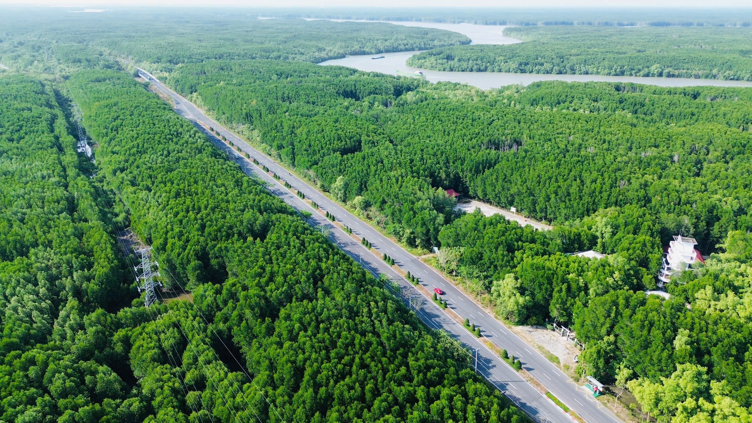 Tuyến metro kết nối TP.HCM với Cần Giờ có thể khởi công trong năm 2026?- Ảnh 2. Tuyến metro kết nối TP.HCM với Cần Giờ có thể khởi công trong năm 2026?- Ảnh 2.