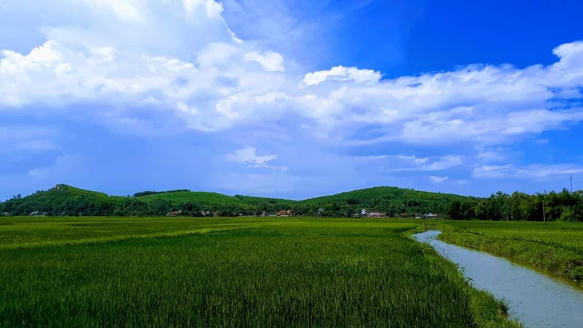 Đặt tên xã mới: Quảng Ngãi bỏ đánh số, một phường ở Kon Tum mang tên tỉnh cũ- Ảnh 1.