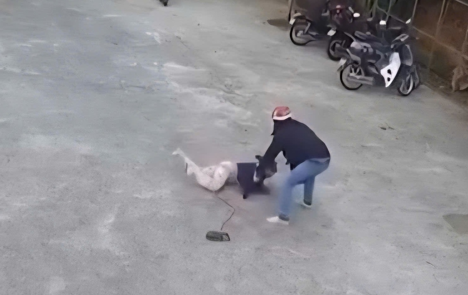 Bắt đối tượng đội tóc giả chích điện hai người dân ở Phú Quốc- Ảnh 2. Bắt đối tượng đội tóc giả chích điện hai người dân ở Phú Quốc- Ảnh 2.