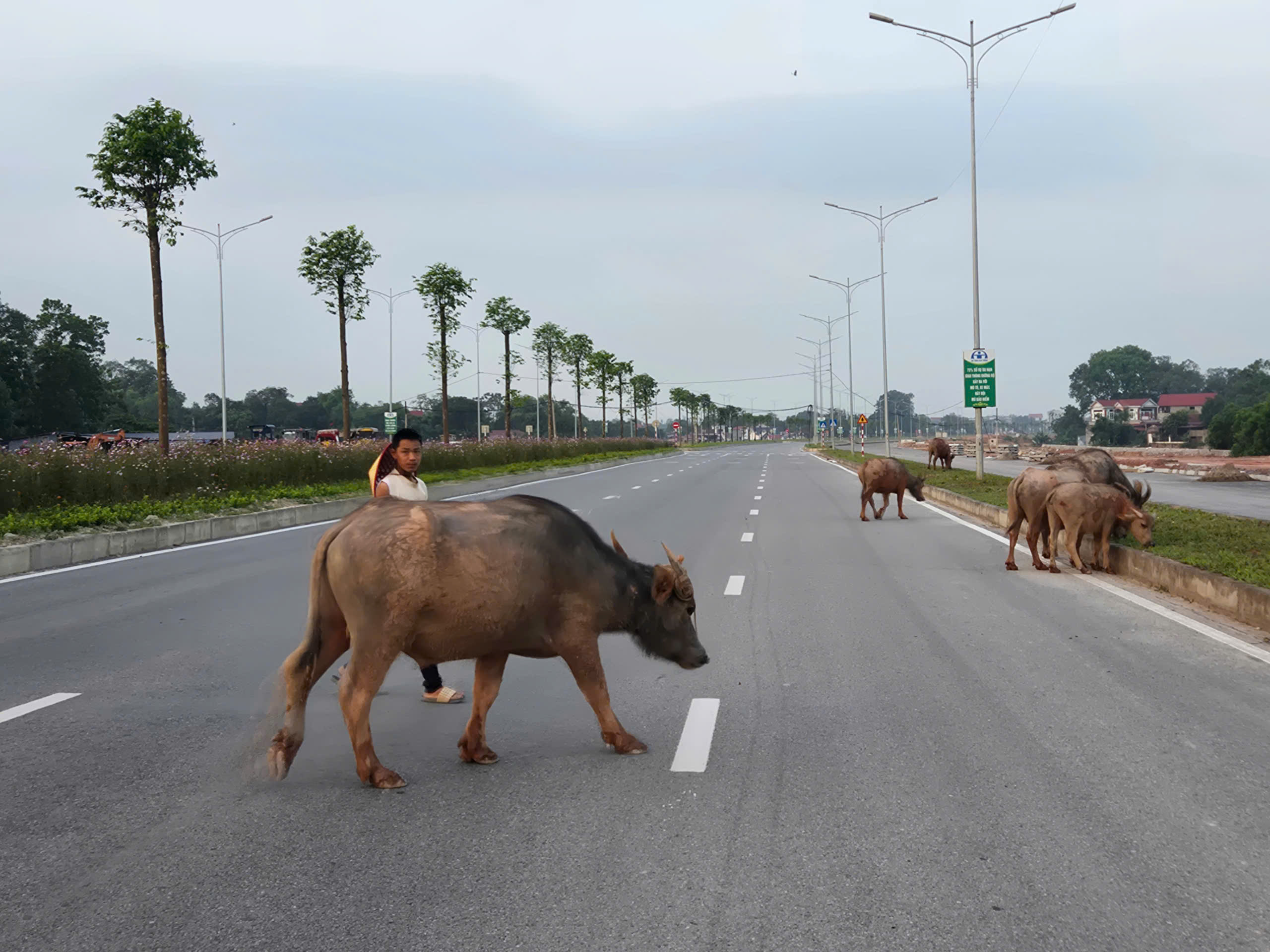 Thái Nguyên: Đường vành đai liên tục xảy ra tai nạn, người dân mong sớm lắp đèn tín hiệu- Ảnh 4. Thái Nguyên: Đường vành đai liên tục xảy ra tai nạn, người dân mong sớm lắp đèn tín hiệu- Ảnh 4.