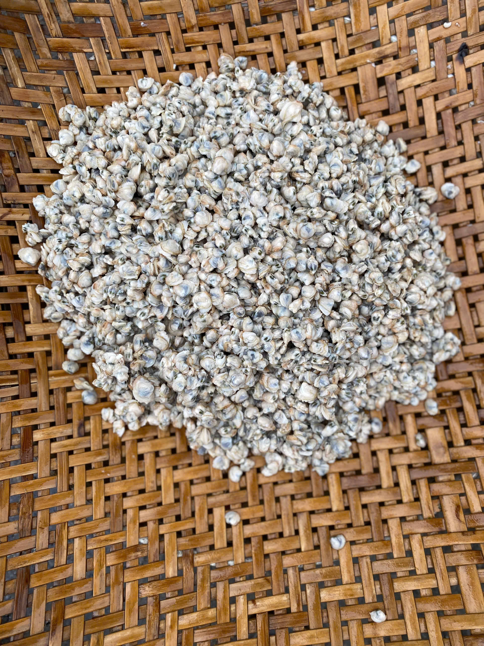 Giữ gìn làng nghề truyền thống 300 năm, Hà Tĩnh hướng tới du lịch bền vững- Ảnh 9. Giữ gìn làng nghề truyền thống 300 năm, Hà Tĩnh hướng tới du lịch bền vững- Ảnh 9.