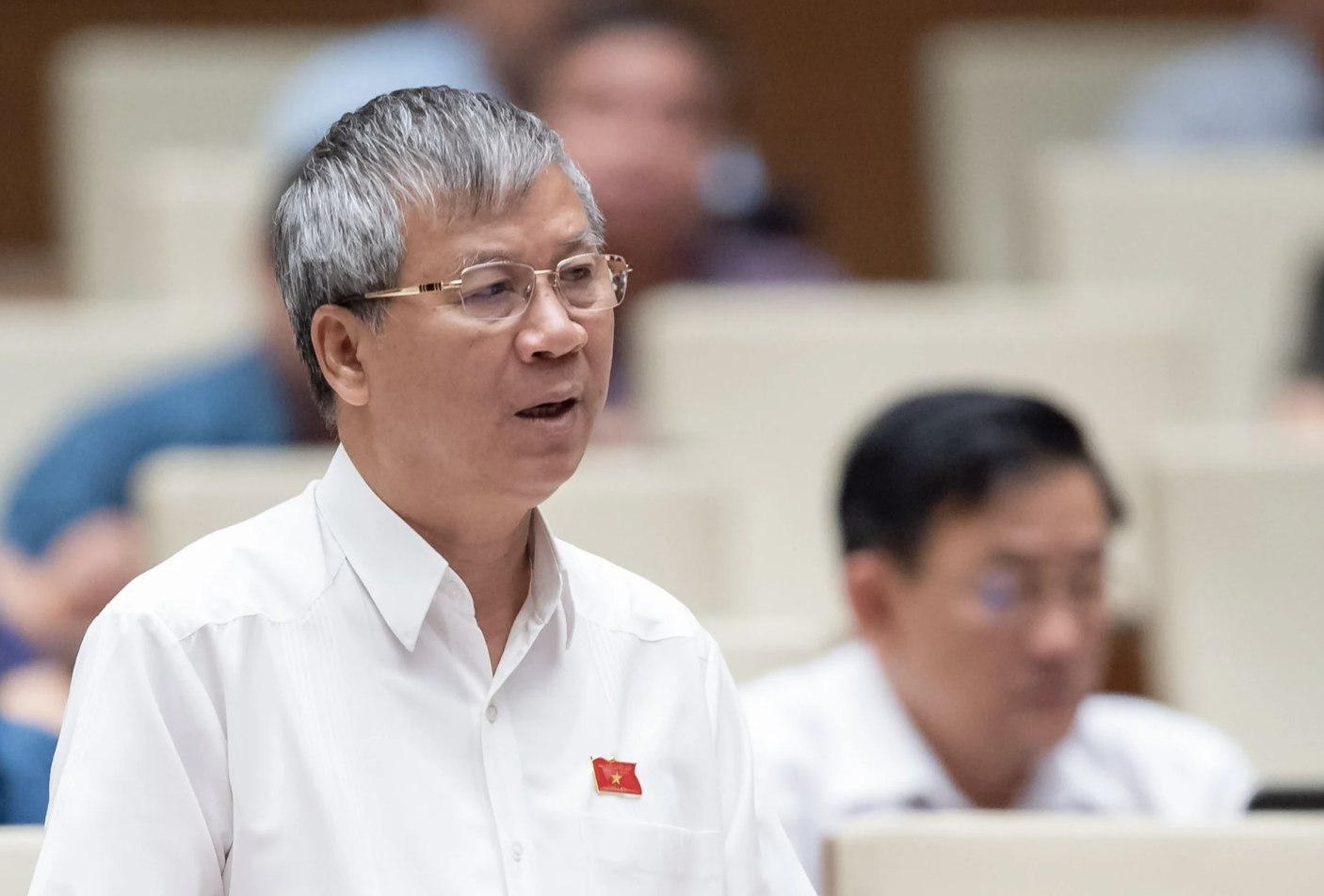 ĐBQH: Doanh nghiệp vi phạm, tài sản không có lỗi- Ảnh 2. ĐBQH: Doanh nghiệp vi phạm, tài sản không có lỗi- Ảnh 2.