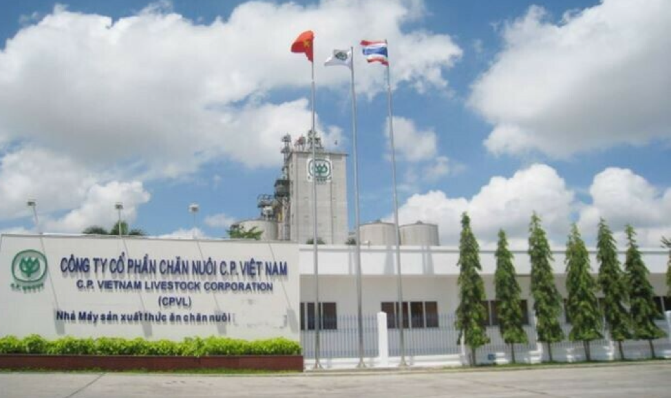 Bị "tố" tuồn lợn bệnh ra thị trường, C.P. Việt Nam nói gì?- Ảnh 1. Bị "tố" tuồn lợn bệnh ra thị trường, C.P. Việt Nam nói gì?- Ảnh 1.