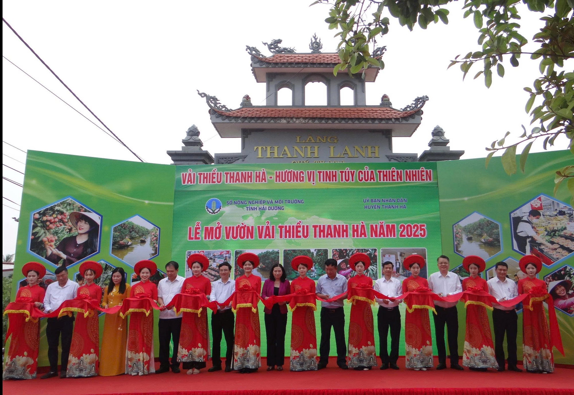 Hải Dương: Mở đầu một vụ vải thắng lợi- Ảnh 1. Hải Dương: Mở đầu một vụ vải thắng lợi- Ảnh 1.