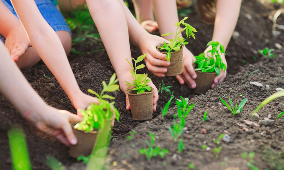 Cách nào thu hút tư nhân tham gia thị trường carbon?- Ảnh 1. Cách nào thu hút tư nhân tham gia thị trường carbon?- Ảnh 1.