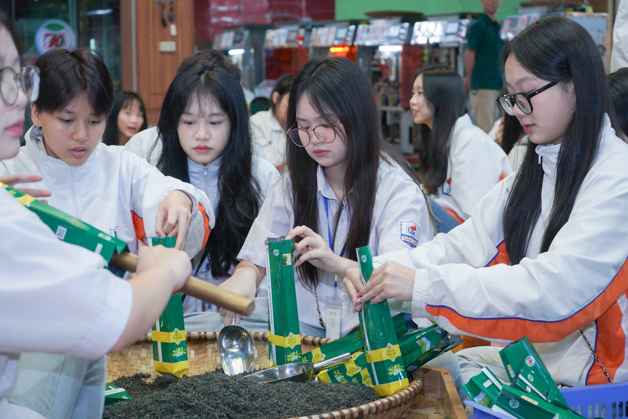 Du khách thích thú những đồi chè xanh ngát ở Thái Nguyên- Ảnh 10. Du khách thích thú những đồi chè xanh ngát ở Thái Nguyên- Ảnh 10.