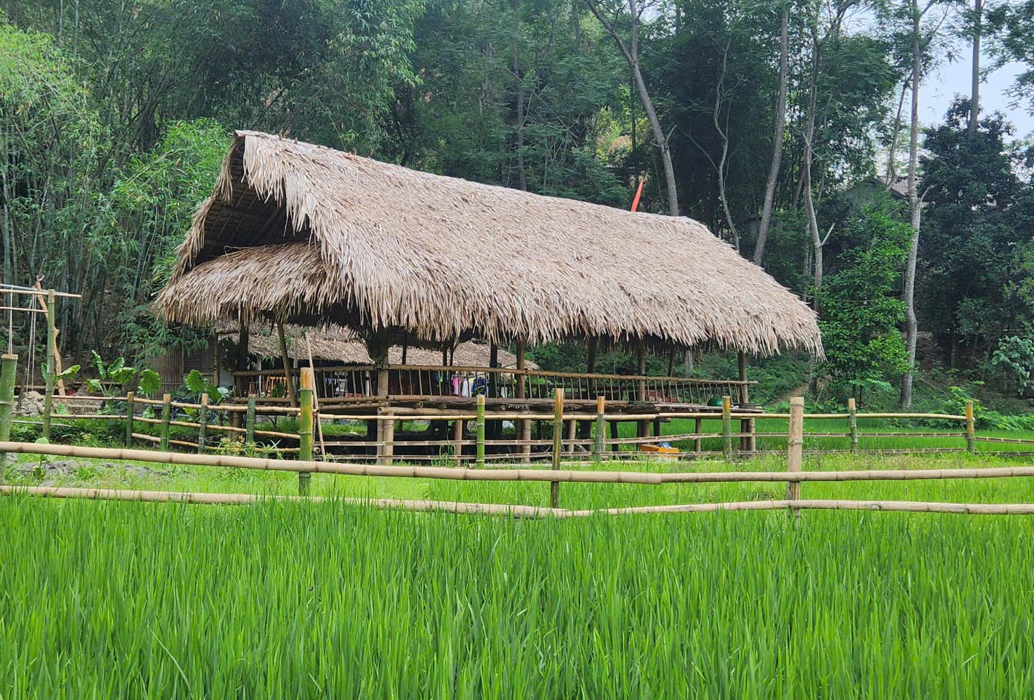 Cảnh hoang sơ tại suối nước nóng hút khách du lịch ở Sơn La- Ảnh 8. Cảnh hoang sơ tại suối nước nóng hút khách du lịch ở Sơn La- Ảnh 8.