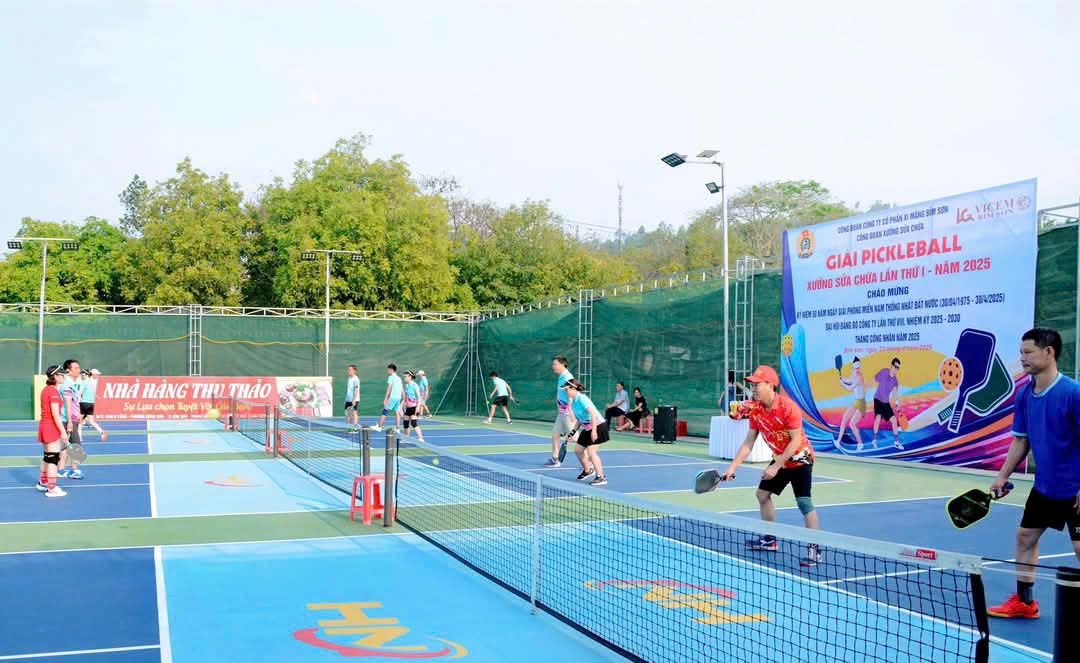 Chuyên nghiệp hóa môn pickleball tại Việt Nam- Ảnh 1. Chuyên nghiệp hóa môn pickleball tại Việt Nam- Ảnh 1.