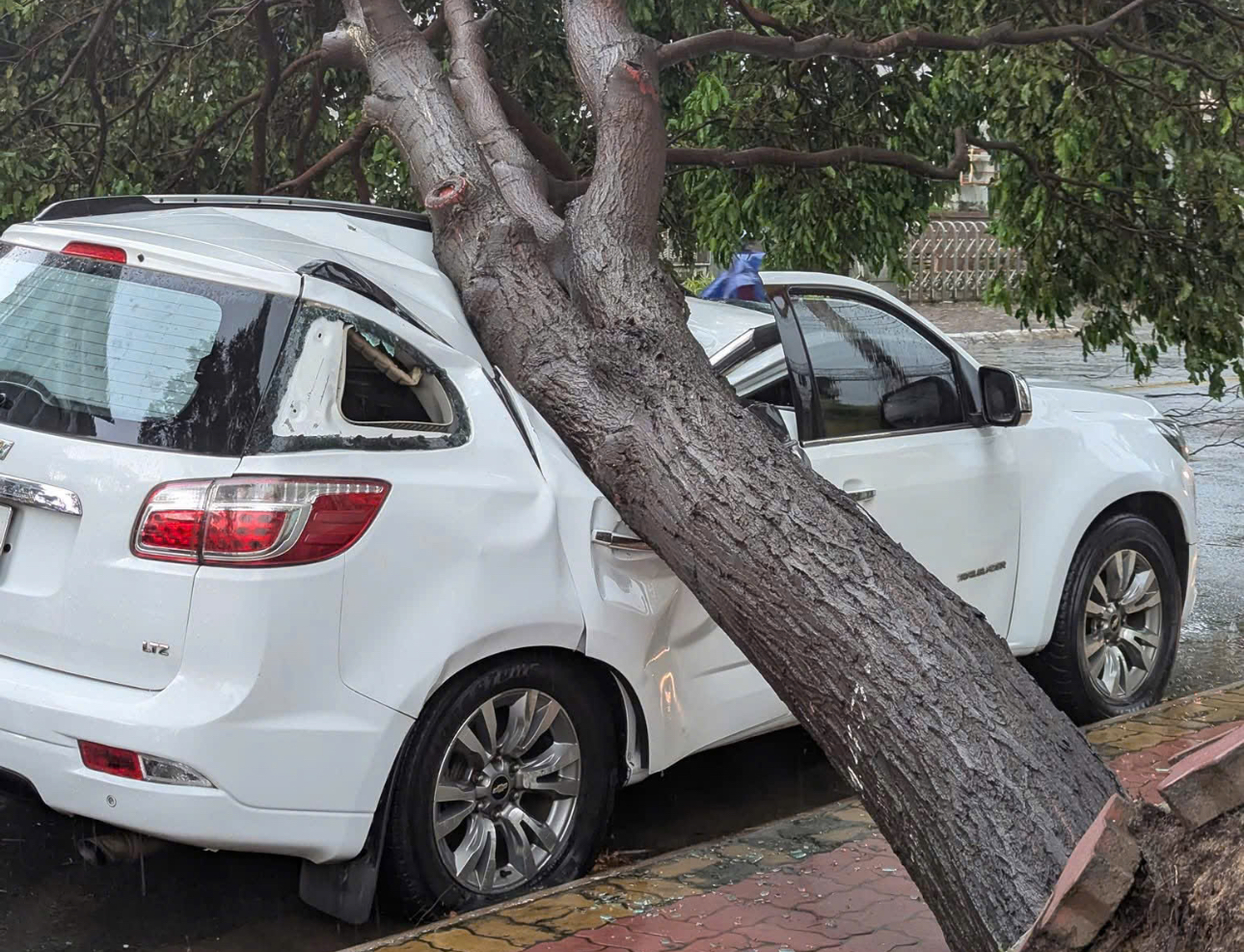 Mưa kèm dông lốc khiến cây bật gốc đè gây hư hỏng ô tô đỗ ven đường- Ảnh 1.