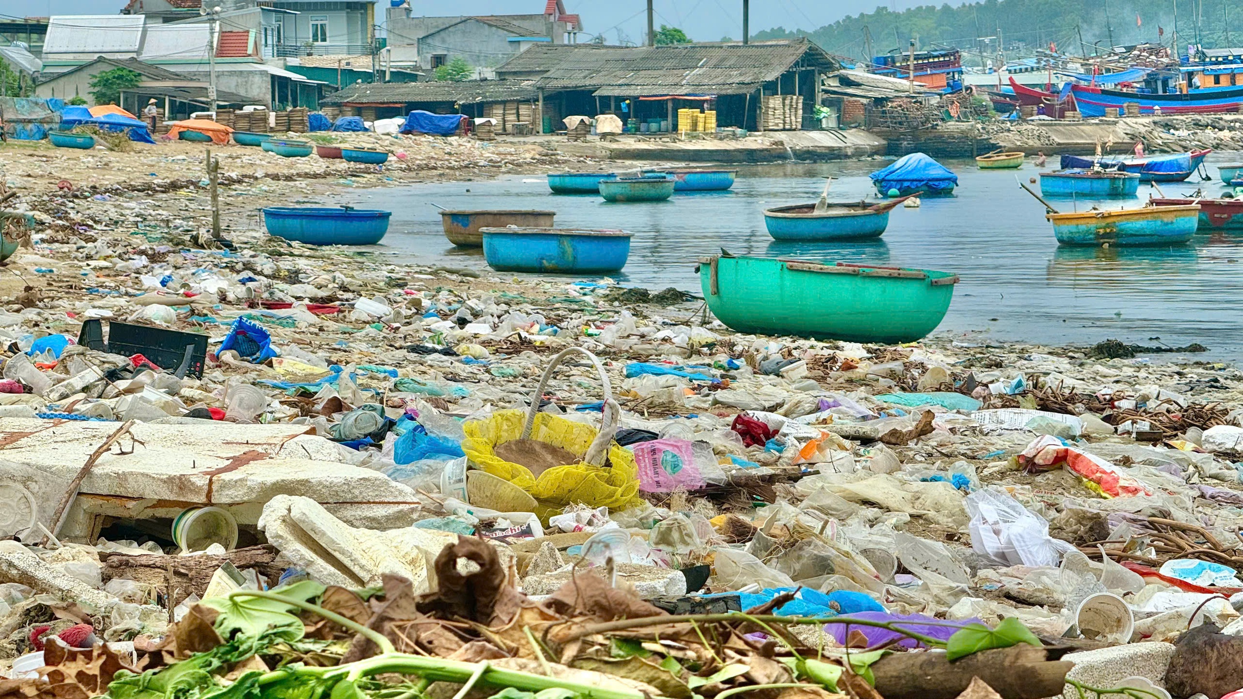 Người dân làng biển Quảng Ngãi bất lực với lượng rác ken đặc từ biển tấp vào- Ảnh 1. Người dân làng biển Quảng Ngãi bất lực với lượng rác ken đặc từ biển tấp vào- Ảnh 1.