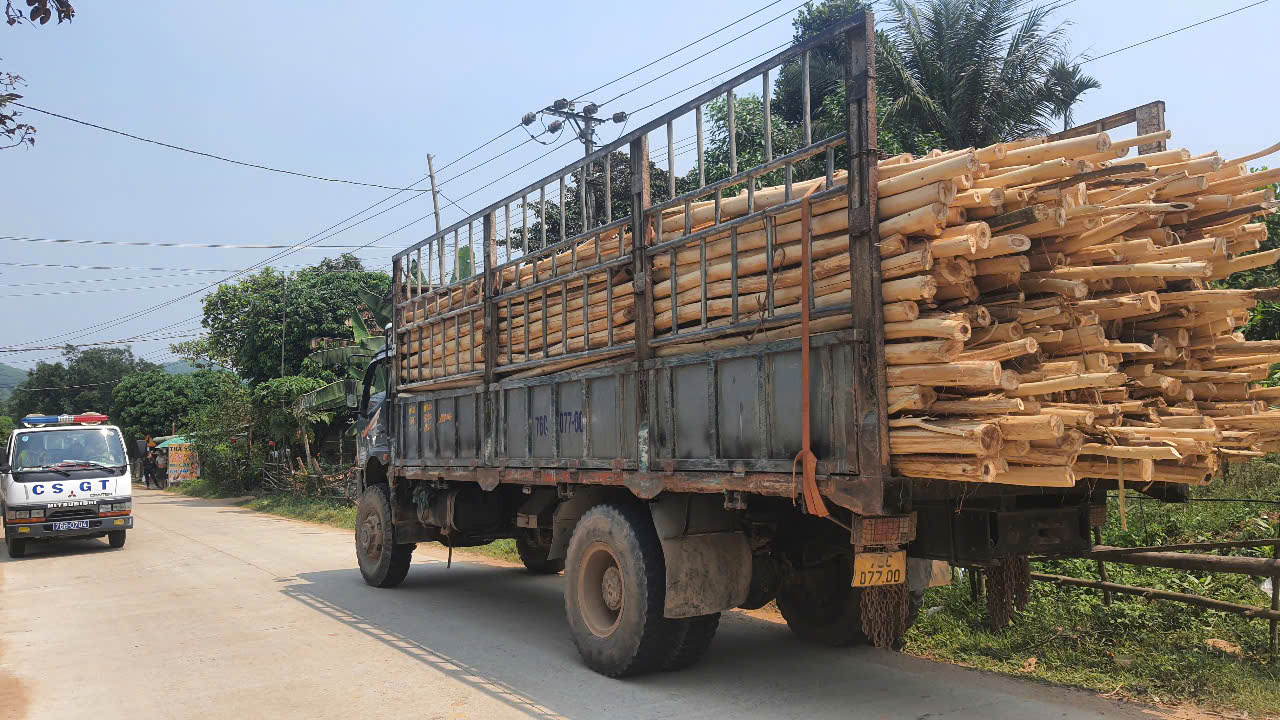 Quảng Ngãi lập lại trật tự giao thông, xử nghiêm xe quá tải, quá khổ- Ảnh 3. Quảng Ngãi lập lại trật tự giao thông, xử nghiêm xe quá tải, quá khổ- Ảnh 3.