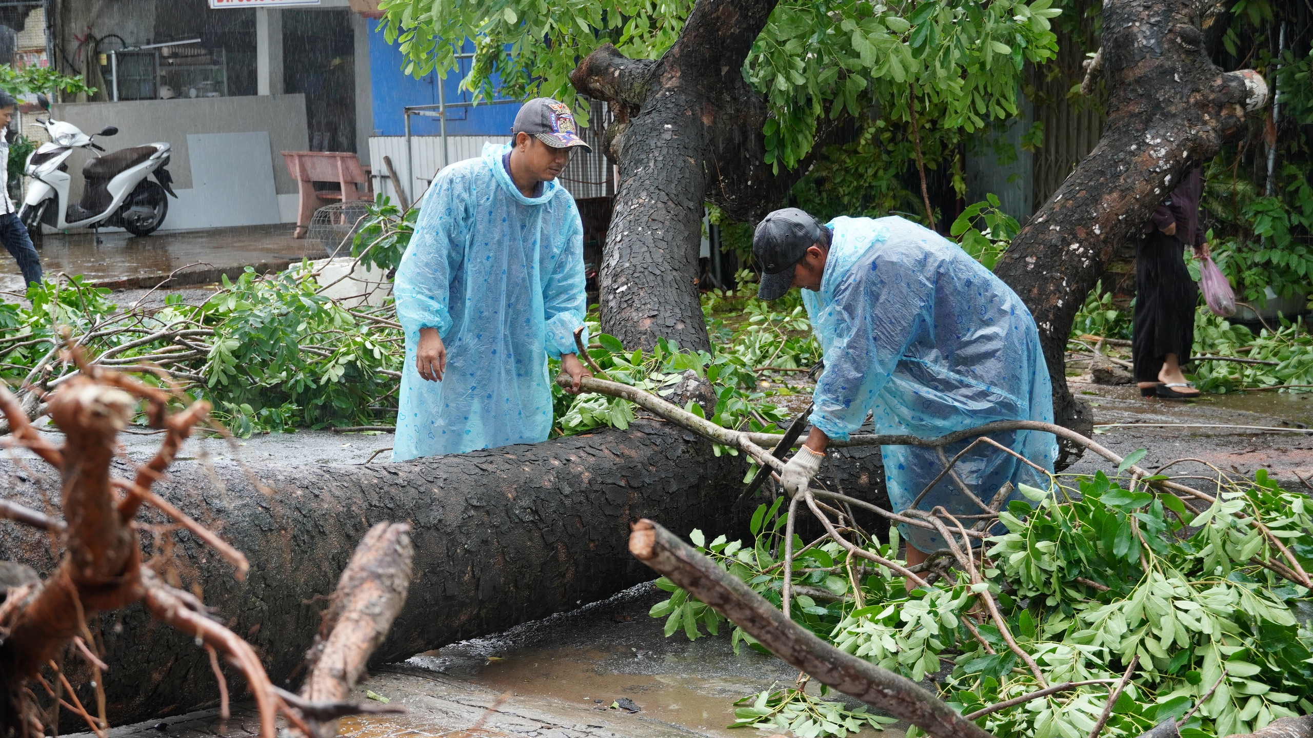 Mưa lớn gây ngập úng, sạt lở chia cắt giao thông, tàu cá gặp nạn trên biển- Ảnh 4. Mưa lớn gây ngập úng, sạt lở chia cắt giao thông, tàu cá gặp nạn trên biển- Ảnh 4.