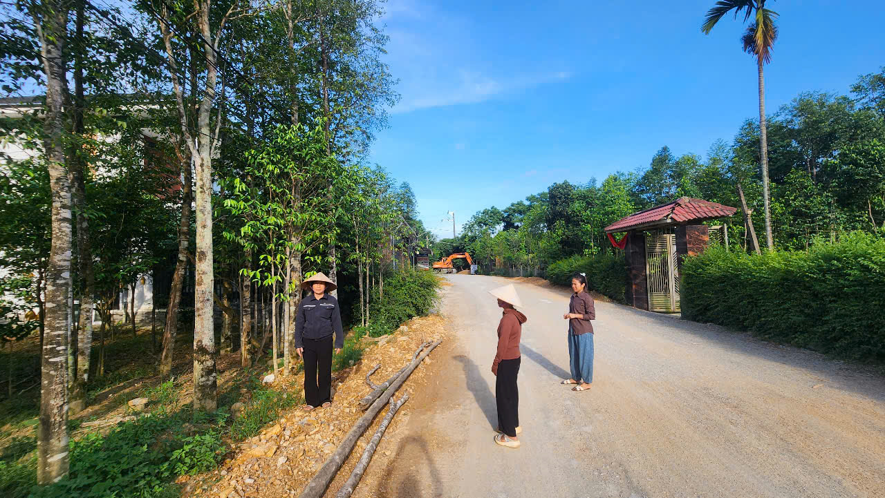 Thi công đường gây ngập úng vườn nhà dân vì thiếu mương thoát nước- Ảnh 3. Thi công đường gây ngập úng vườn nhà dân vì thiếu mương thoát nước- Ảnh 3.