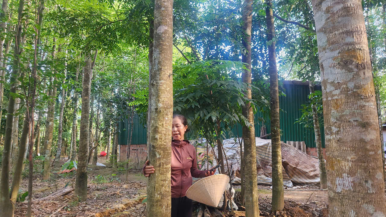 Thi công đường gây ngập úng vườn nhà dân vì thiếu mương thoát nước- Ảnh 1. Thi công đường gây ngập úng vườn nhà dân vì thiếu mương thoát nước- Ảnh 1.