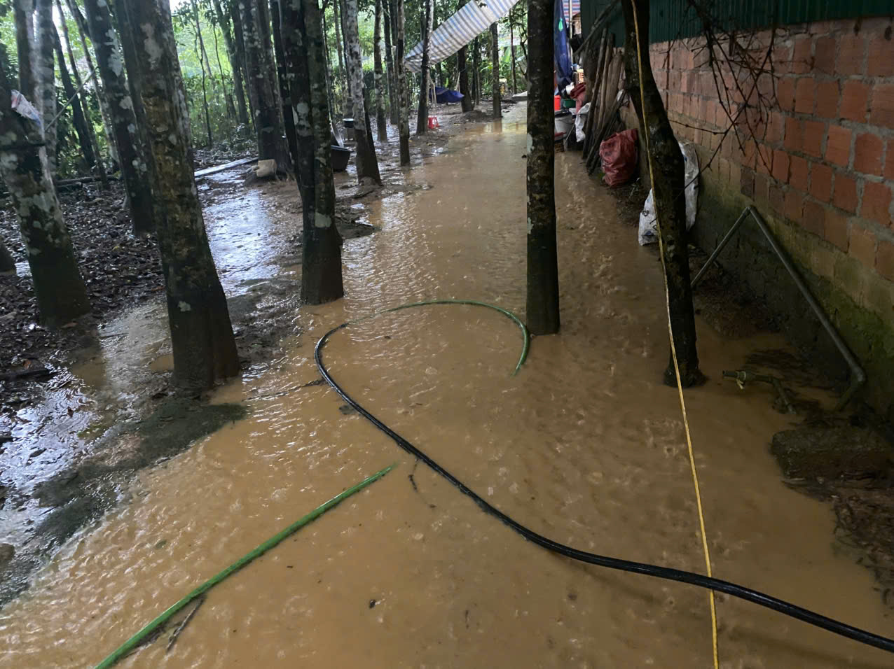 Thi công đường gây ngập úng vườn nhà dân vì thiếu mương thoát nước- Ảnh 2. Thi công đường gây ngập úng vườn nhà dân vì thiếu mương thoát nước- Ảnh 2.