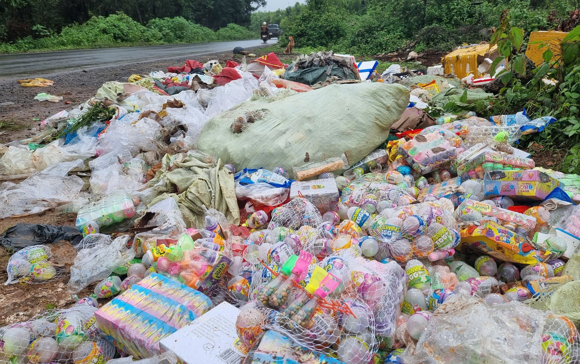Gia Lai: Phát hiện hàng loạt kẹo, đồ chơi trẻ em vứt dọc đường- Ảnh 1. Gia Lai: Phát hiện hàng loạt kẹo, đồ chơi trẻ em vứt dọc đường- Ảnh 1.