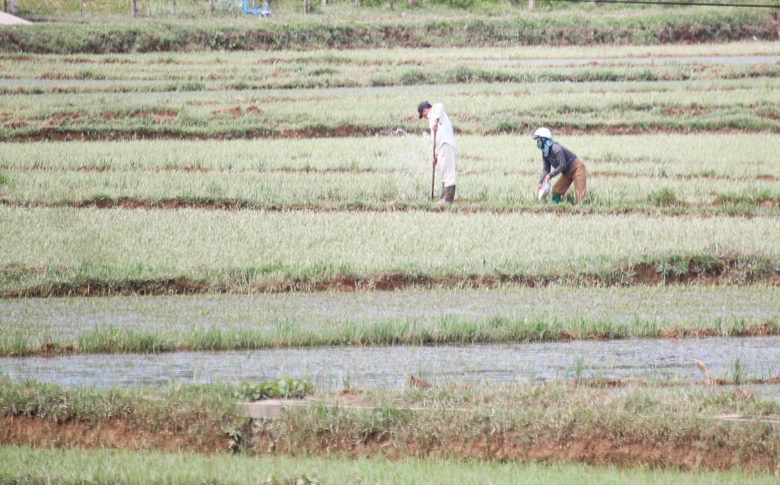 Lũ dữ bất thường gây nhiều thiệt hại, người dân Quảng Trị, Huế nỗ lực khắc phục- Ảnh 12.