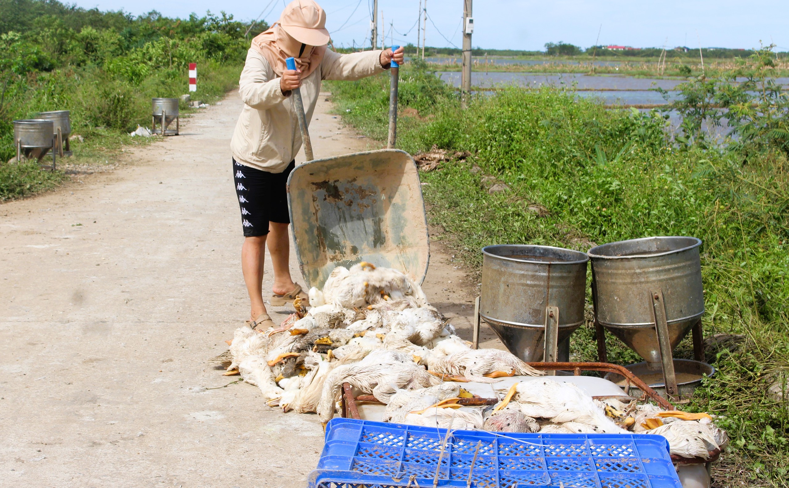 Lũ dữ bất thường gây nhiều thiệt hại, người dân Quảng Trị, Huế nỗ lực khắc phục- Ảnh 14.