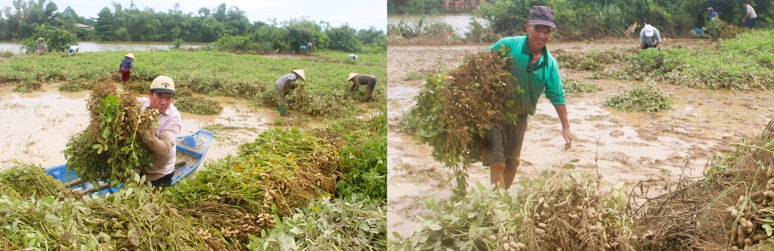 Lũ dữ bất thường gây nhiều thiệt hại, người dân Quảng Trị, Huế nỗ lực khắc phục- Ảnh 4.