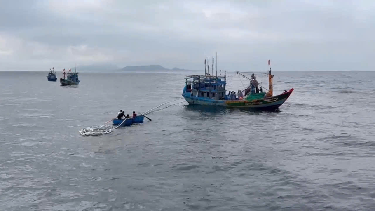 Chìm tàu cá gần đảo Lý Sơn, 11 ngư dân được cứu- Ảnh 1. Chìm tàu cá gần đảo Lý Sơn, 11 ngư dân được cứu- Ảnh 1.