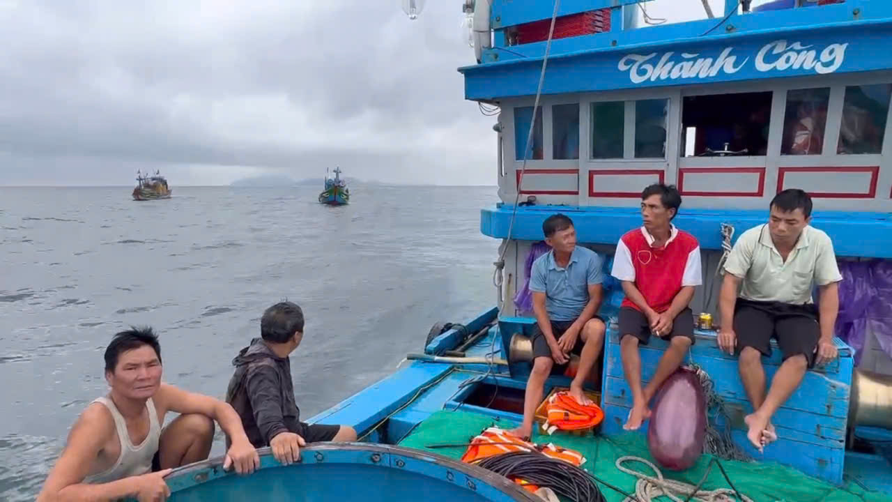 Chìm tàu cá gần đảo Lý Sơn, 11 ngư dân được cứu- Ảnh 2. Chìm tàu cá gần đảo Lý Sơn, 11 ngư dân được cứu- Ảnh 2.
