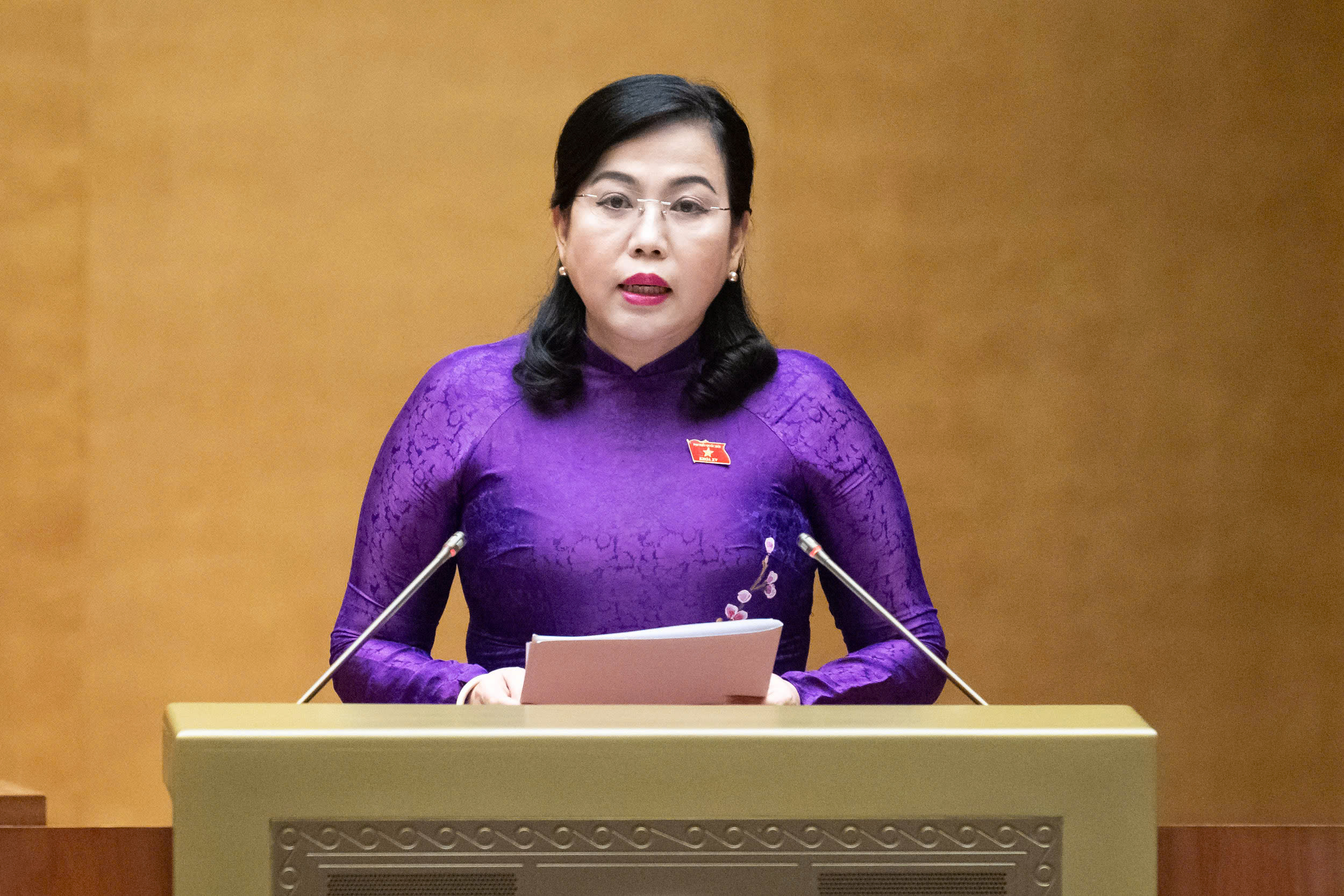 Công dân được ứng cử đại biểu Hội đồng nhân dân ở hai cấp cùng một nhiệm kỳ- Ảnh 2. Công dân được ứng cử đại biểu Hội đồng nhân dân ở hai cấp cùng một nhiệm kỳ- Ảnh 2.
