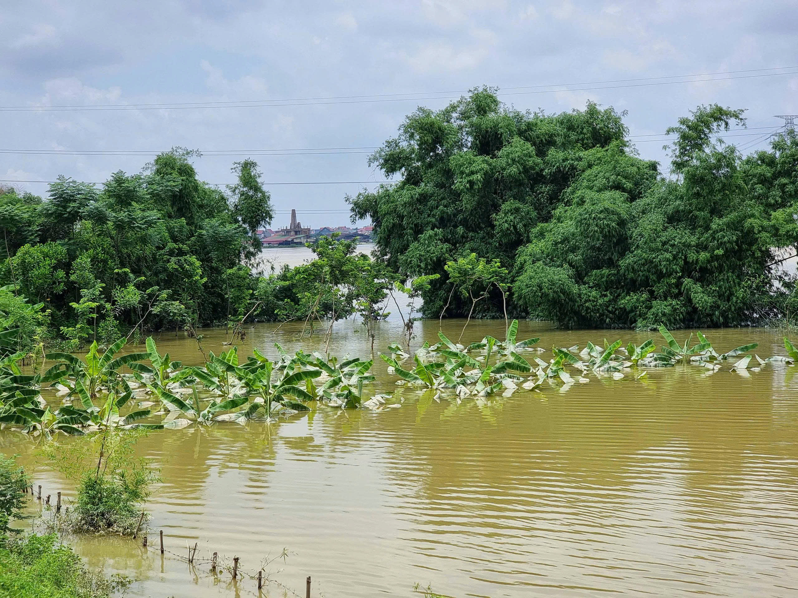 Chủ động ứng phó, Bắc Giang giảm thiểu thiệt hại do mưa lũ- Ảnh 8. Chủ động ứng phó, Bắc Giang giảm thiểu thiệt hại do mưa lũ- Ảnh 8.