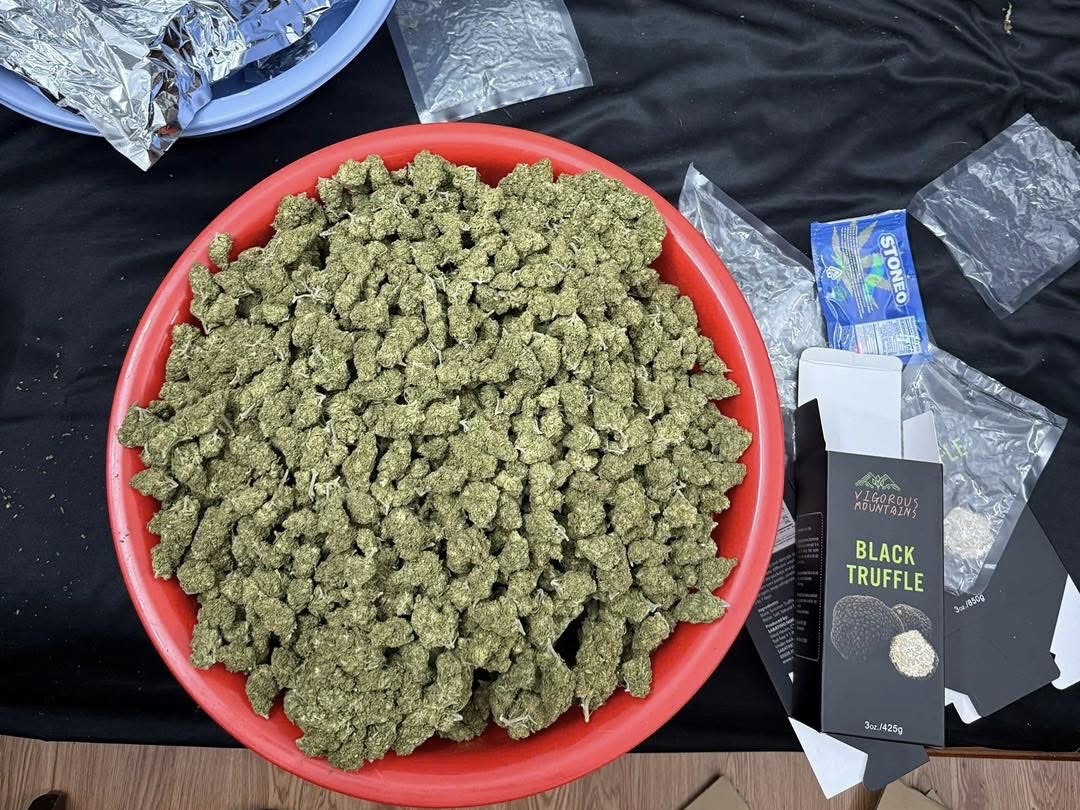 Tuyên Quang: Triệt phá đường dây buôn bán cần sa, thu giữ 10kg chất gây nghiện- Ảnh 2. Tuyên Quang: Triệt phá đường dây buôn bán cần sa, thu giữ 10kg chất gây nghiện- Ảnh 2.