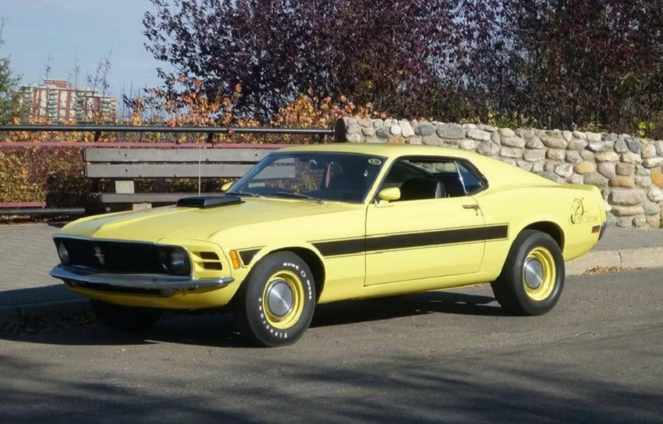 Những mẫu xe Ford Mustang hiếm nhất từng được sản xuất- Ảnh 5. Những mẫu xe Ford Mustang hiếm nhất từng được sản xuất- Ảnh 5.